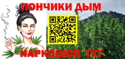 крисы Будённовск