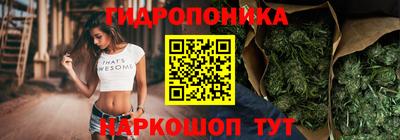 крисы Будённовск