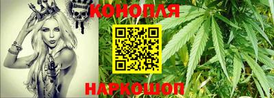 крисы Будённовск