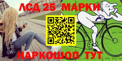 крисы Будённовск