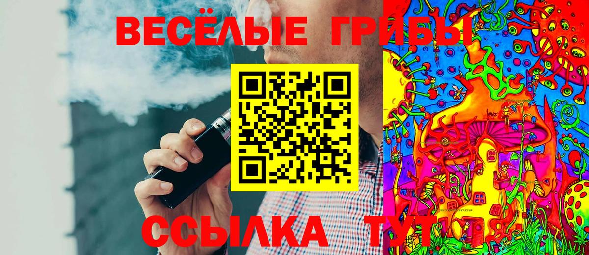 Череповец  Псилоцибиновые грибы Psilocybine cubensis  Вход с VPN 