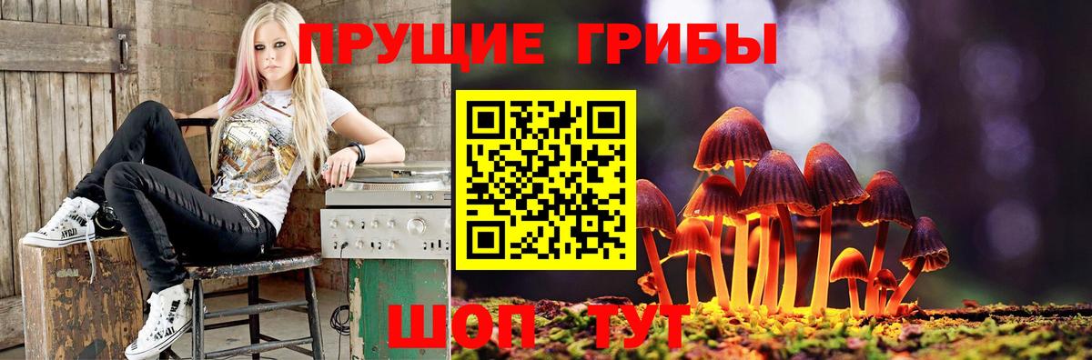 Псилоцибиновые грибы MAGIC MUSHROOMS Череповец